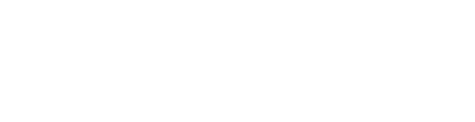 Цвет истории
