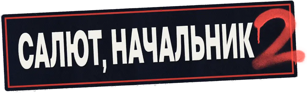 Салют, Начальник