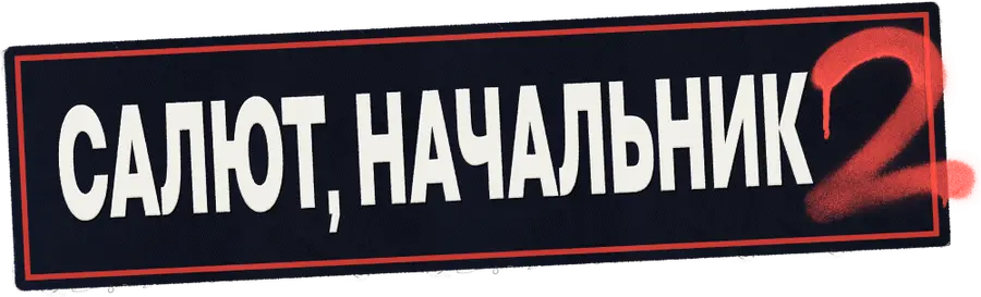Салют, Начальник