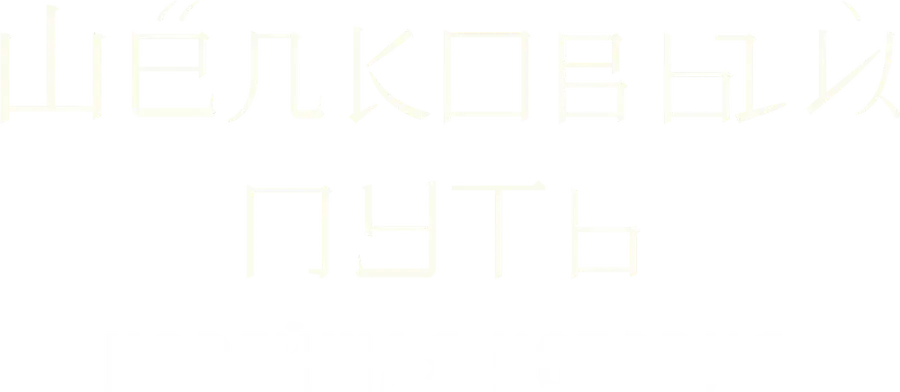 Шёлковый путь. Новейшая история