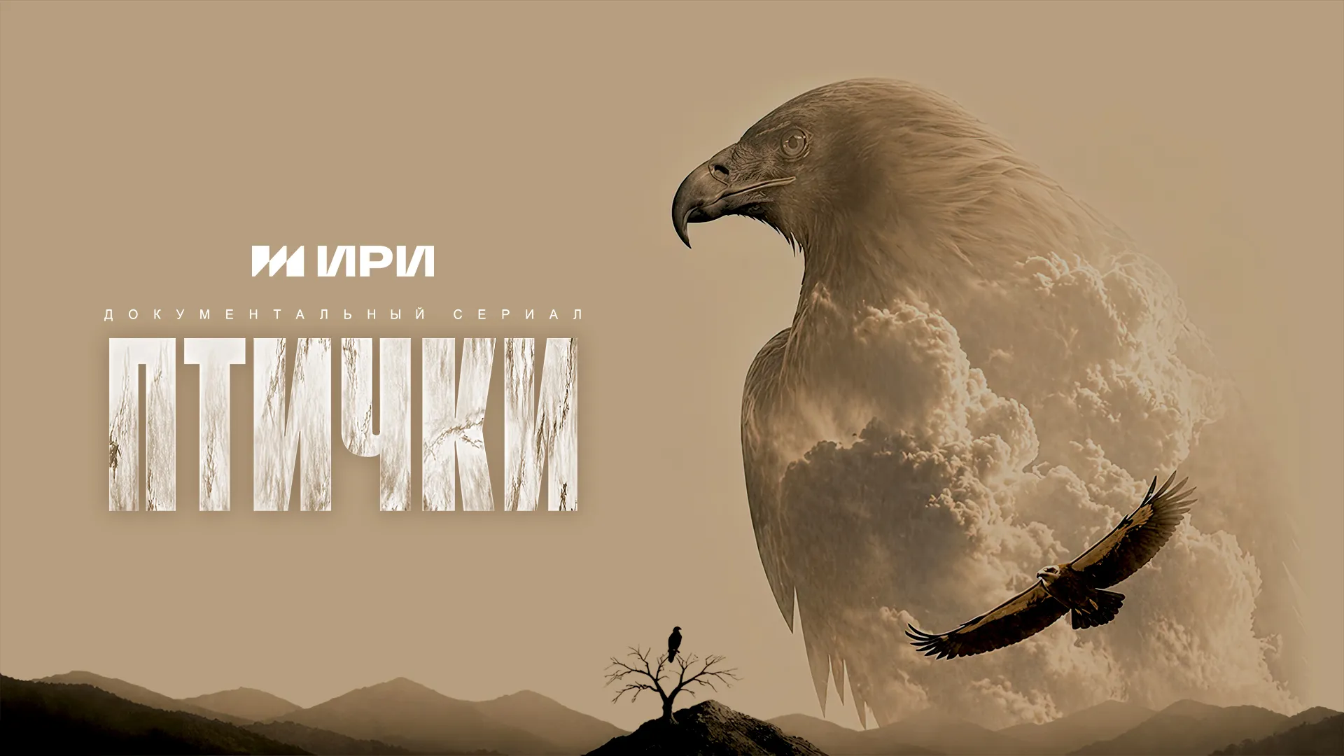 Птички