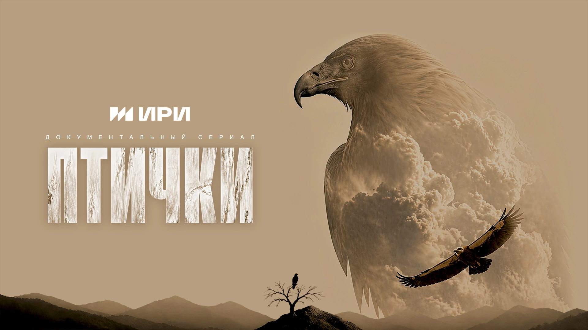 Птички