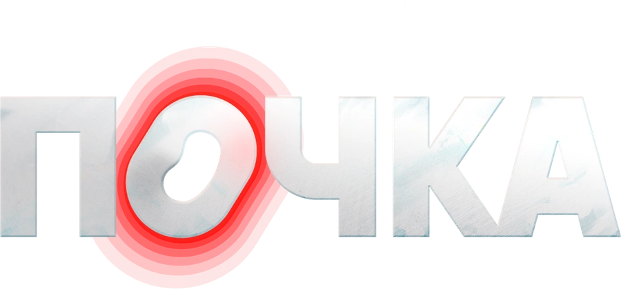 Почка