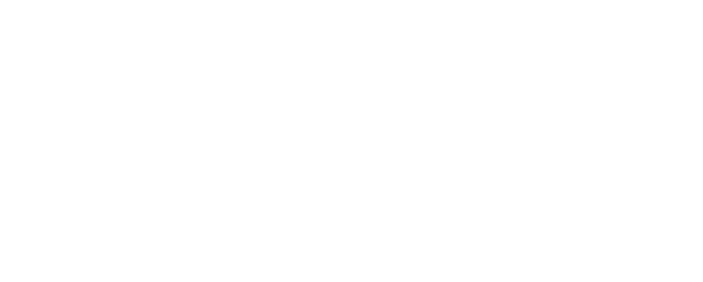 Жена по совместительству