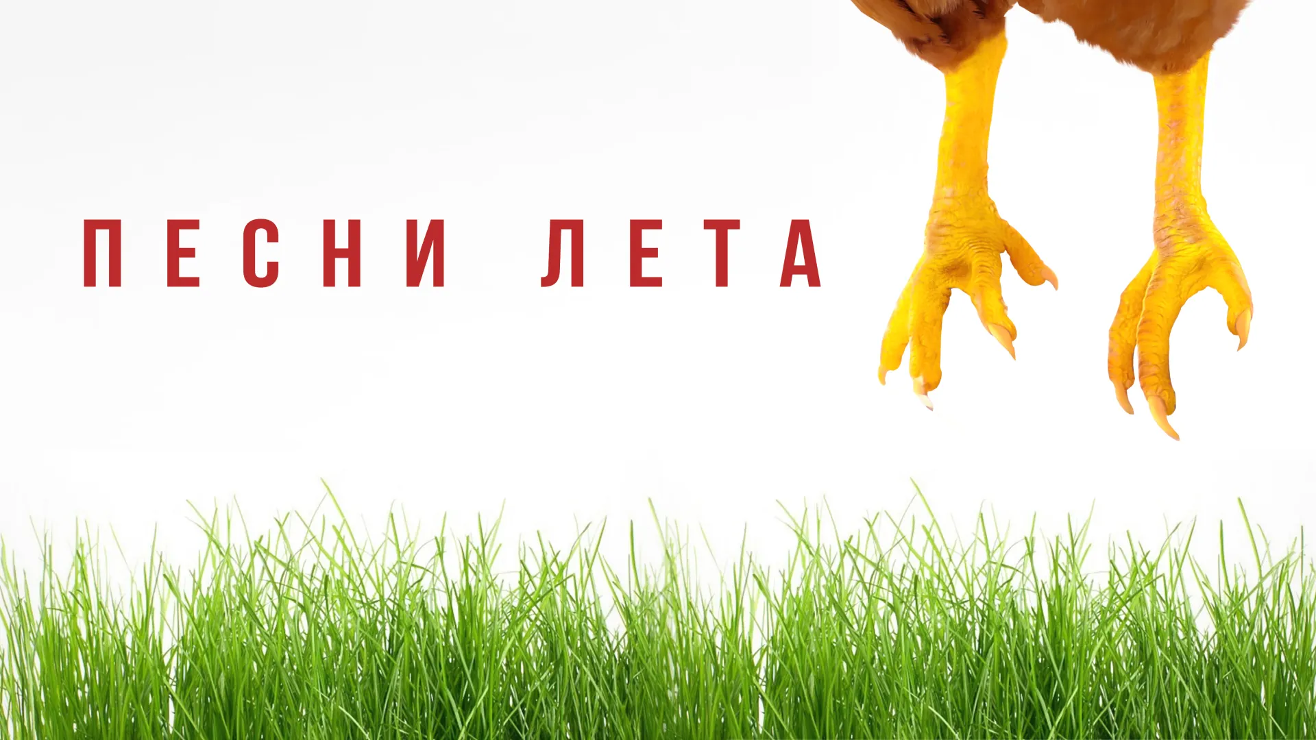 Песни лета