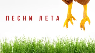 Песни лета