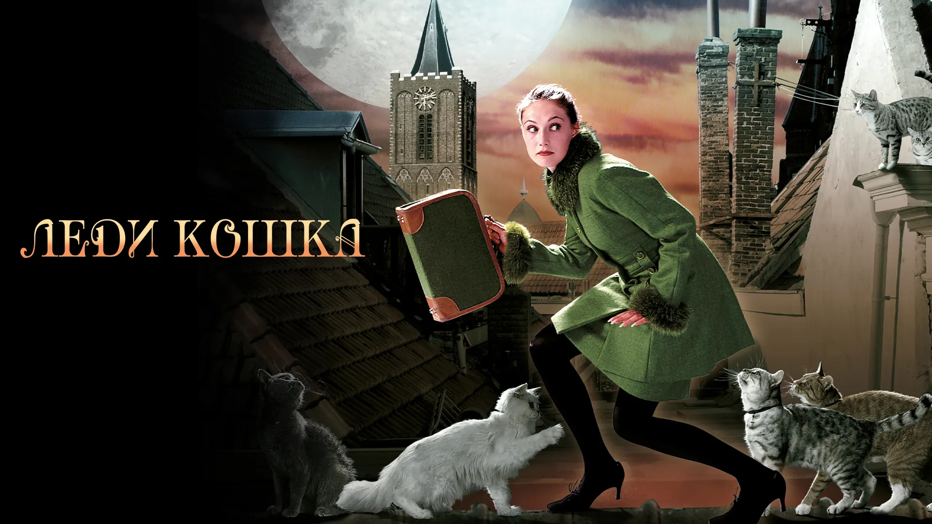 Леди-кошка