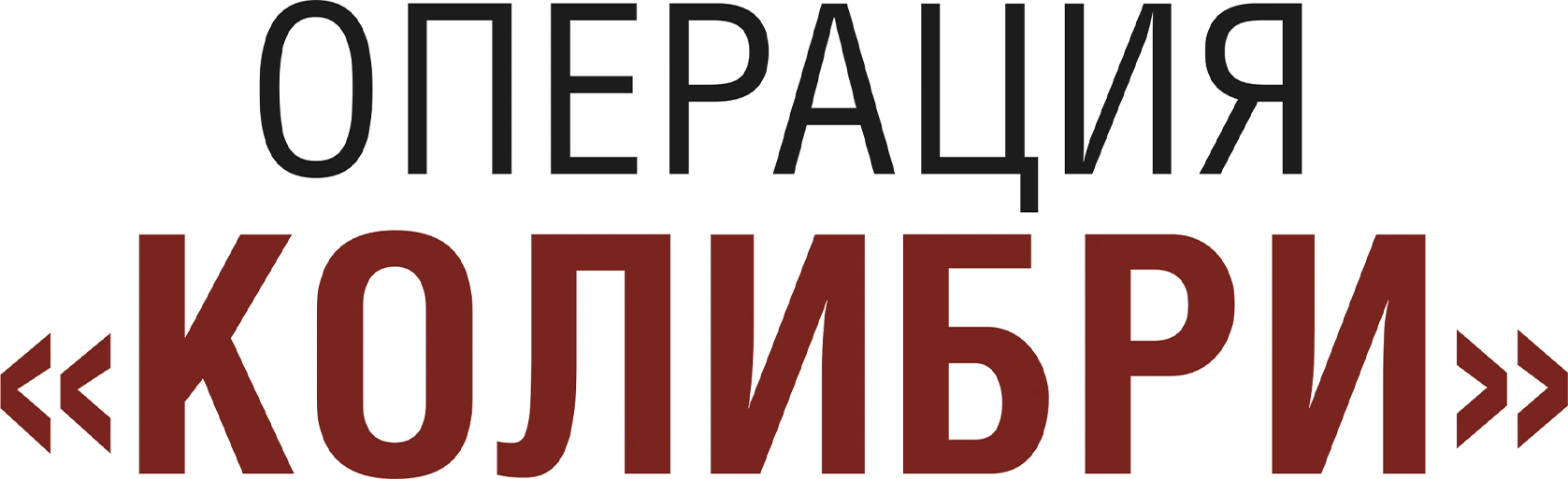 Операция «Колибри»