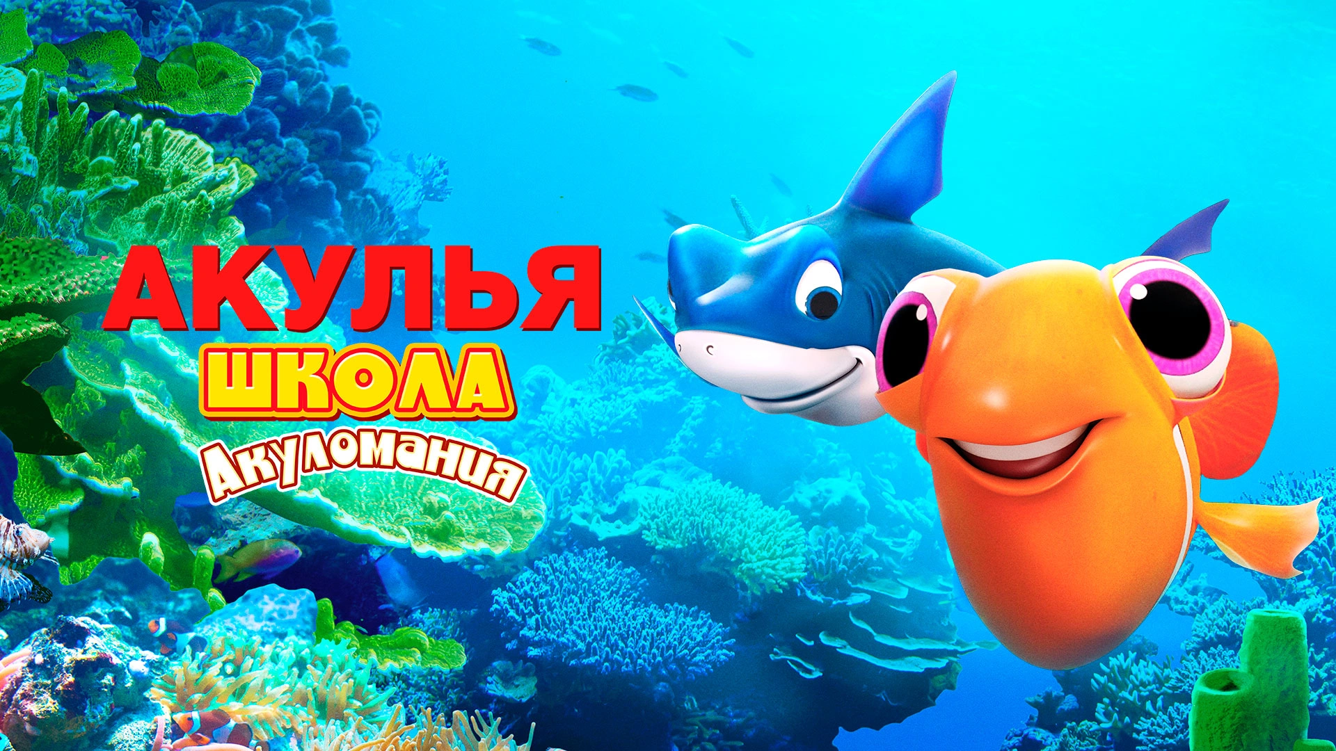 Акулья школа. Акуломания