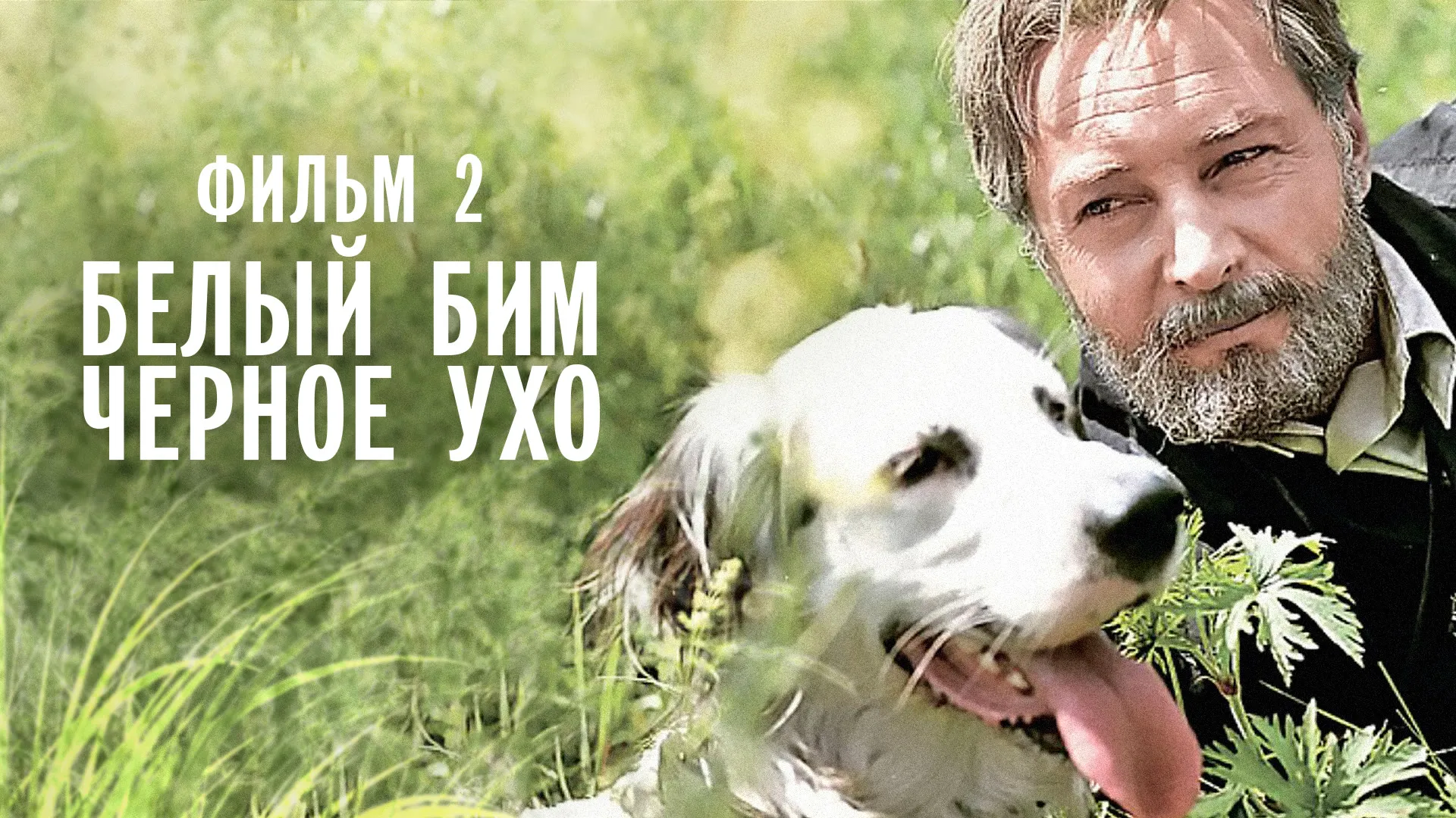 Белый Бим Черное ухо. Фильм 2