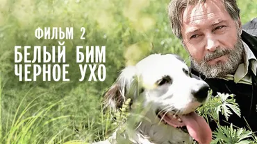 Белый Бим Черное ухо. Фильм 2