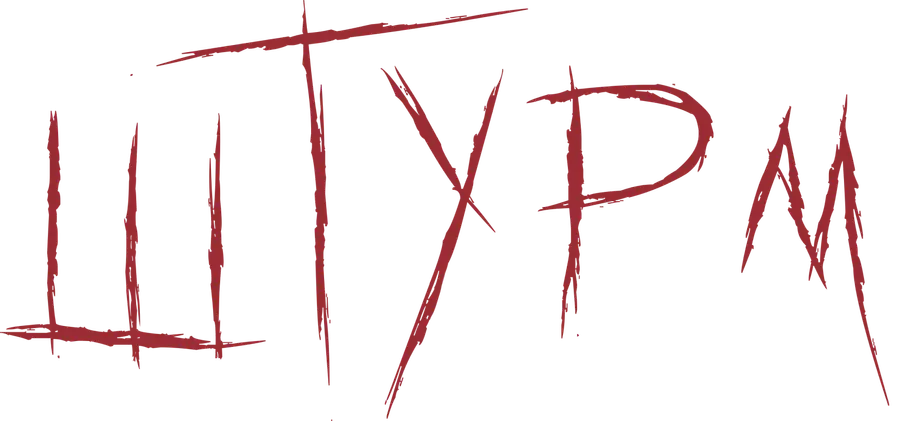 Штурм