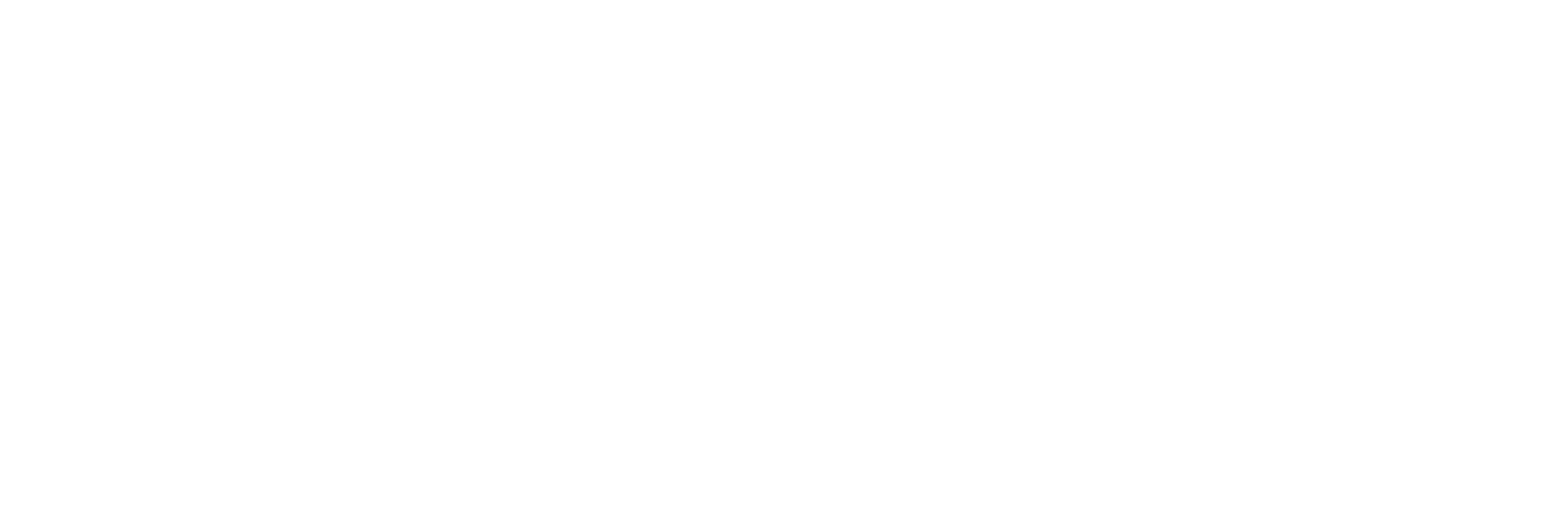 Позывной «Пассажир»