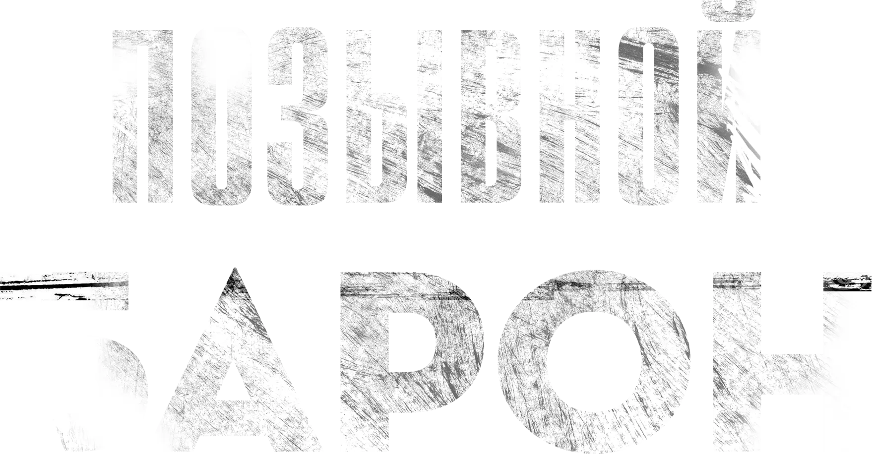 Позывной «Барон»