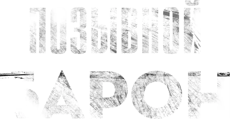 Позывной «Барон»