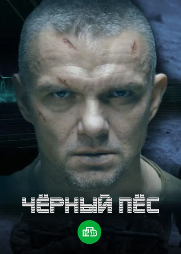 Чёрный пёс