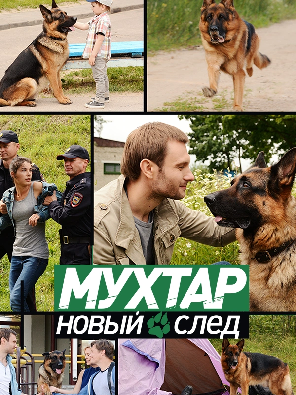 Мухтар. Новый след