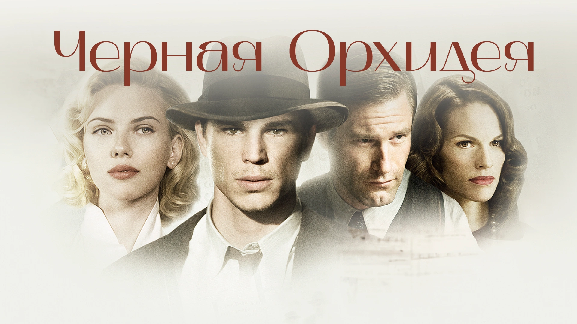 Черная орхидея