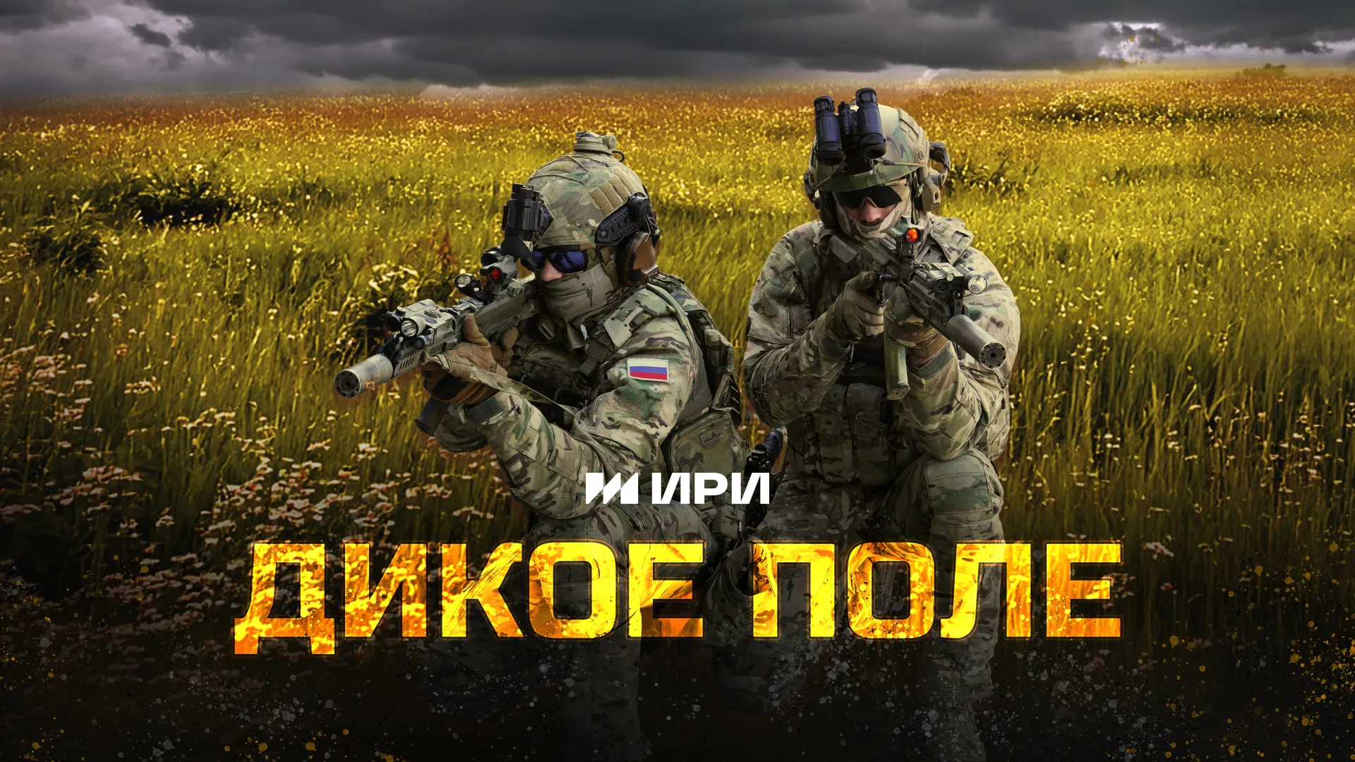 Дикое поле