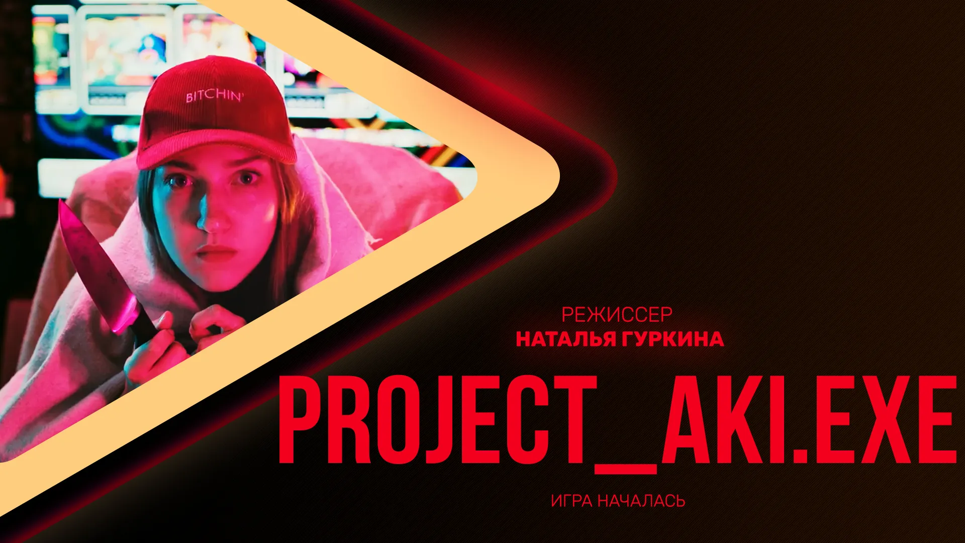 Project_Aki.exe