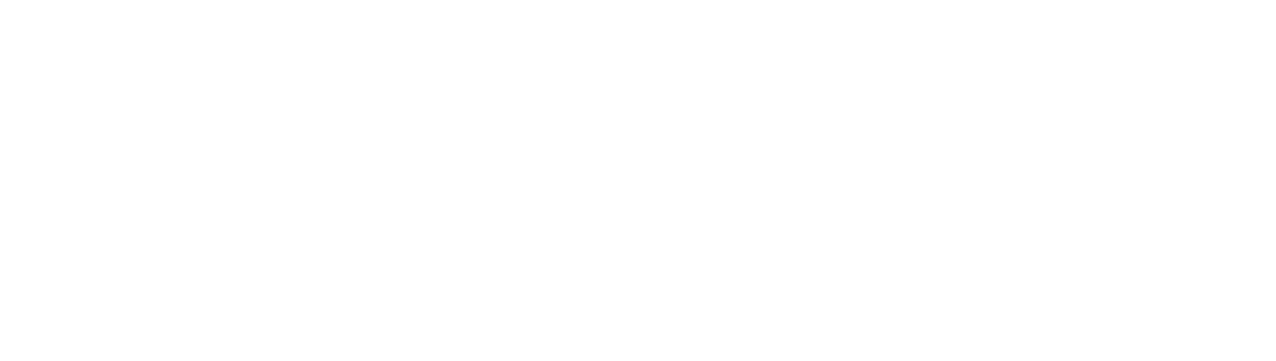 Блокадный дневник
