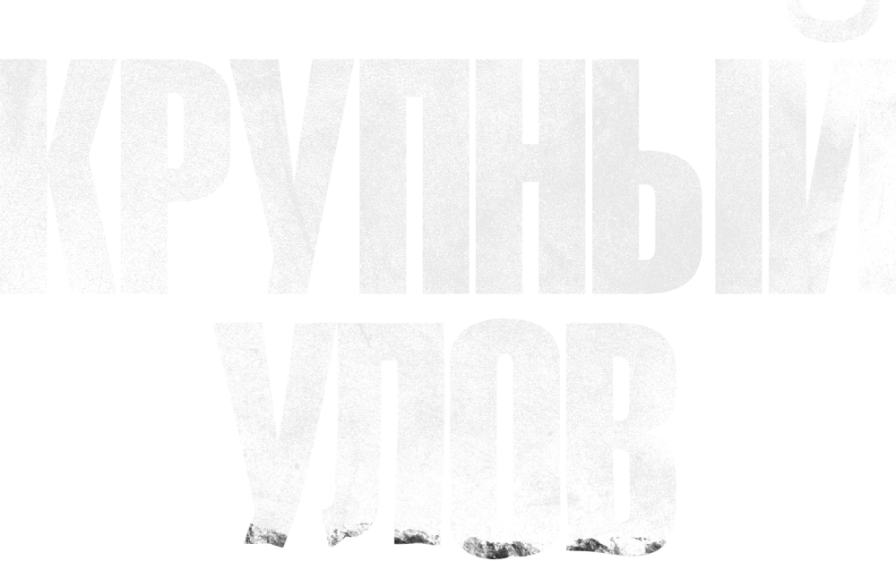 Крупный улов