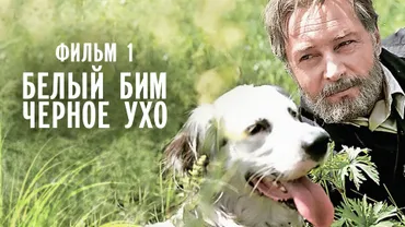 Белый Бим Черное ухо. Фильм 1
