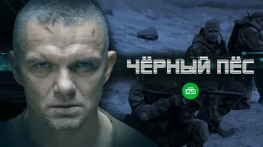 Чёрный пёс