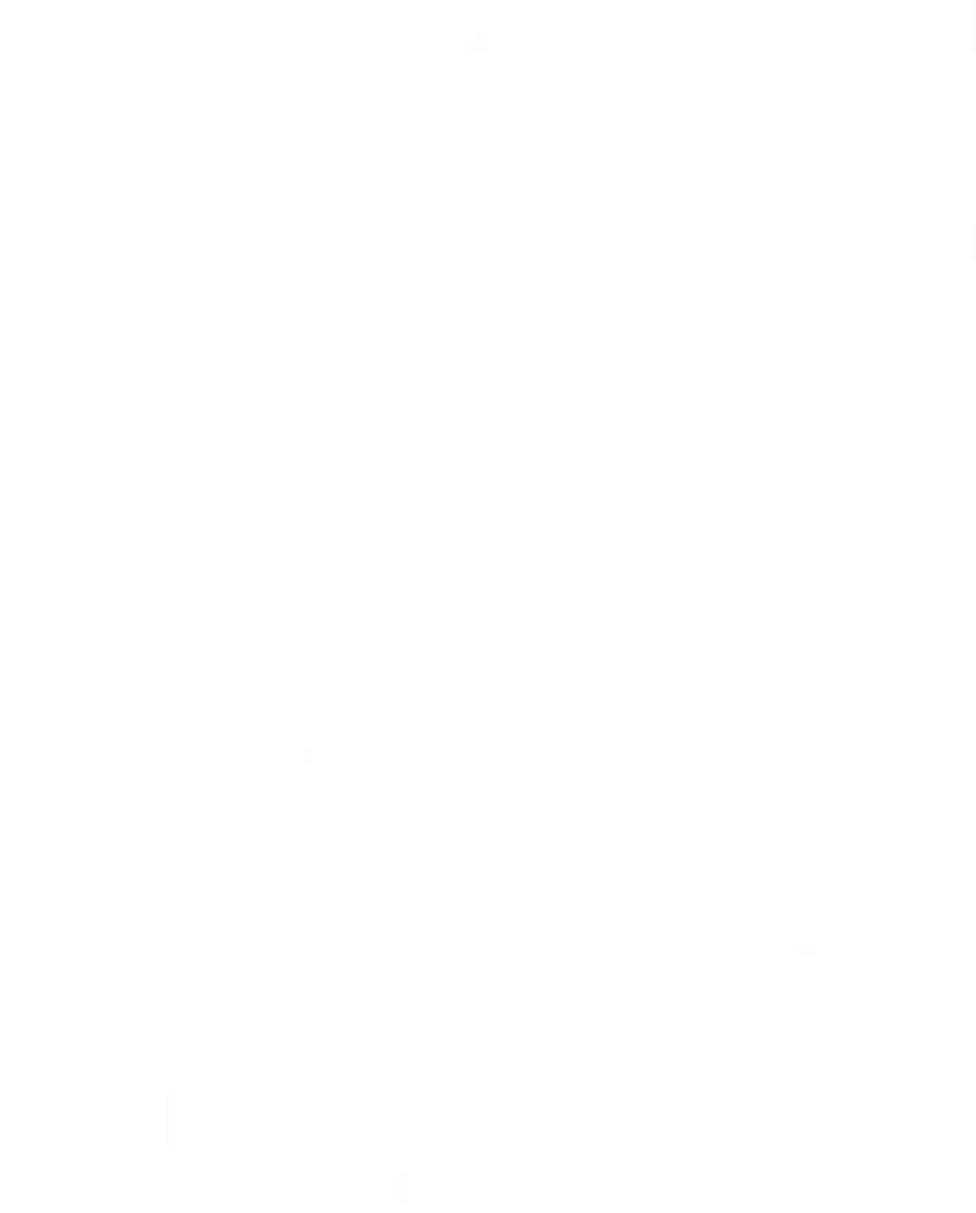 Пираты ХХ века