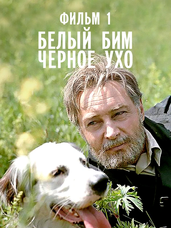 Белый Бим Черное ухо. Фильм 1