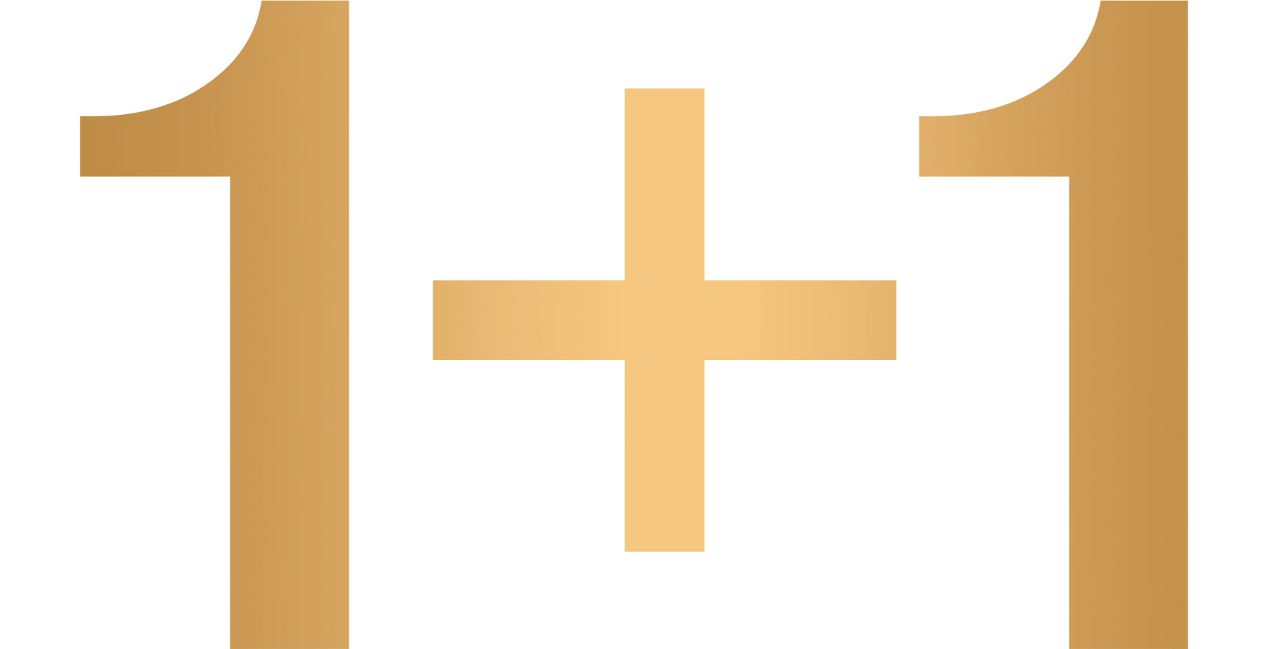 1+1