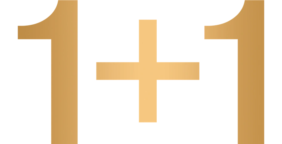1+1
