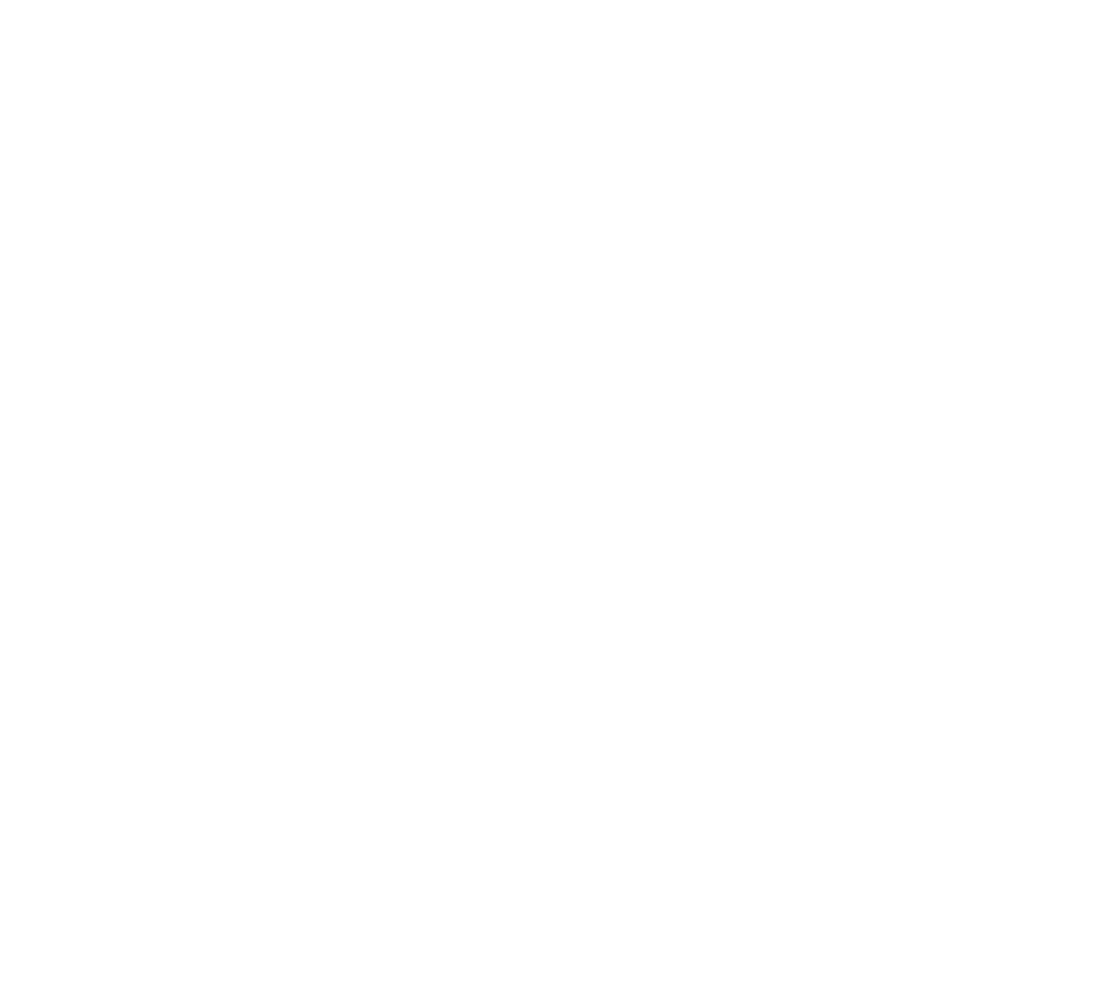 Четвертая смена