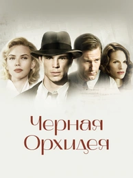 Черная орхидея