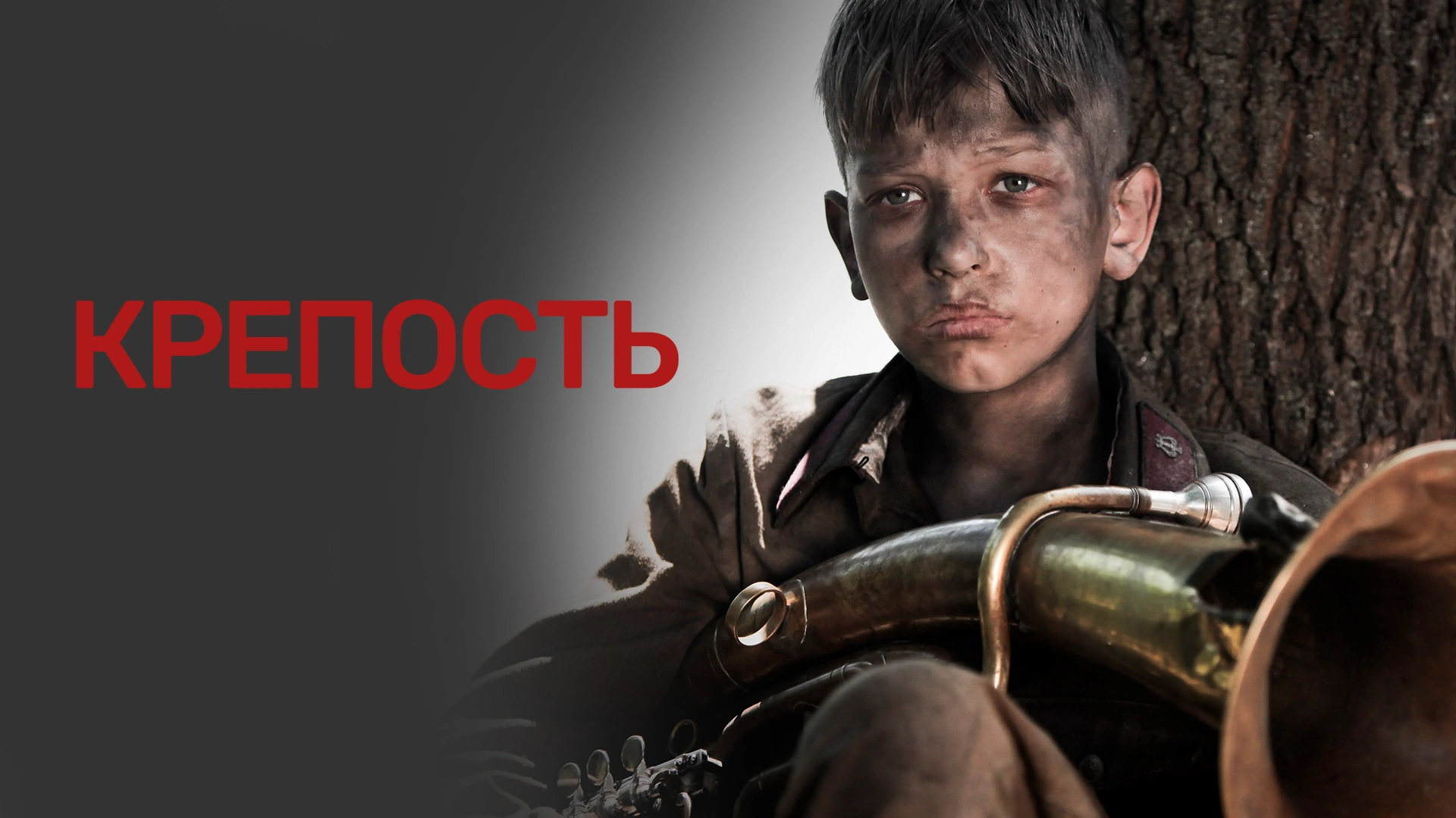 Крепость (2011)