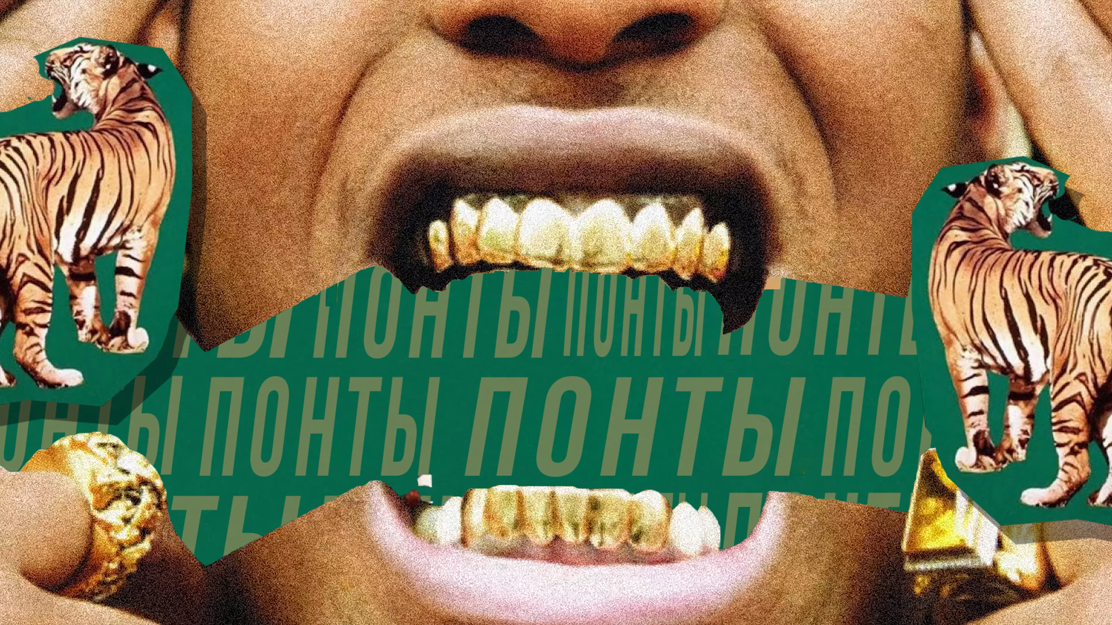 ПОНТЫ