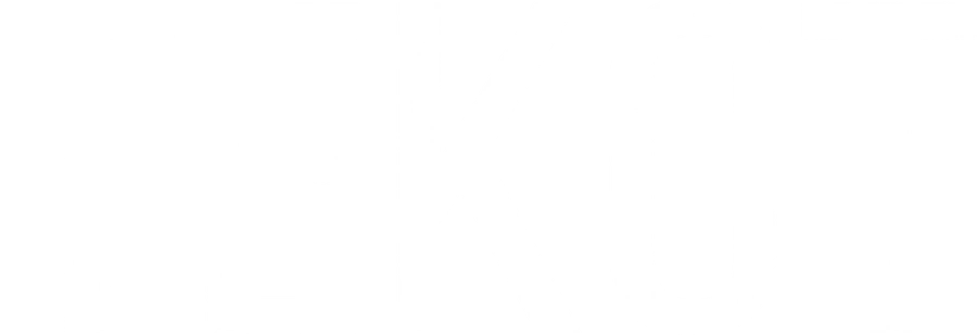 Текст