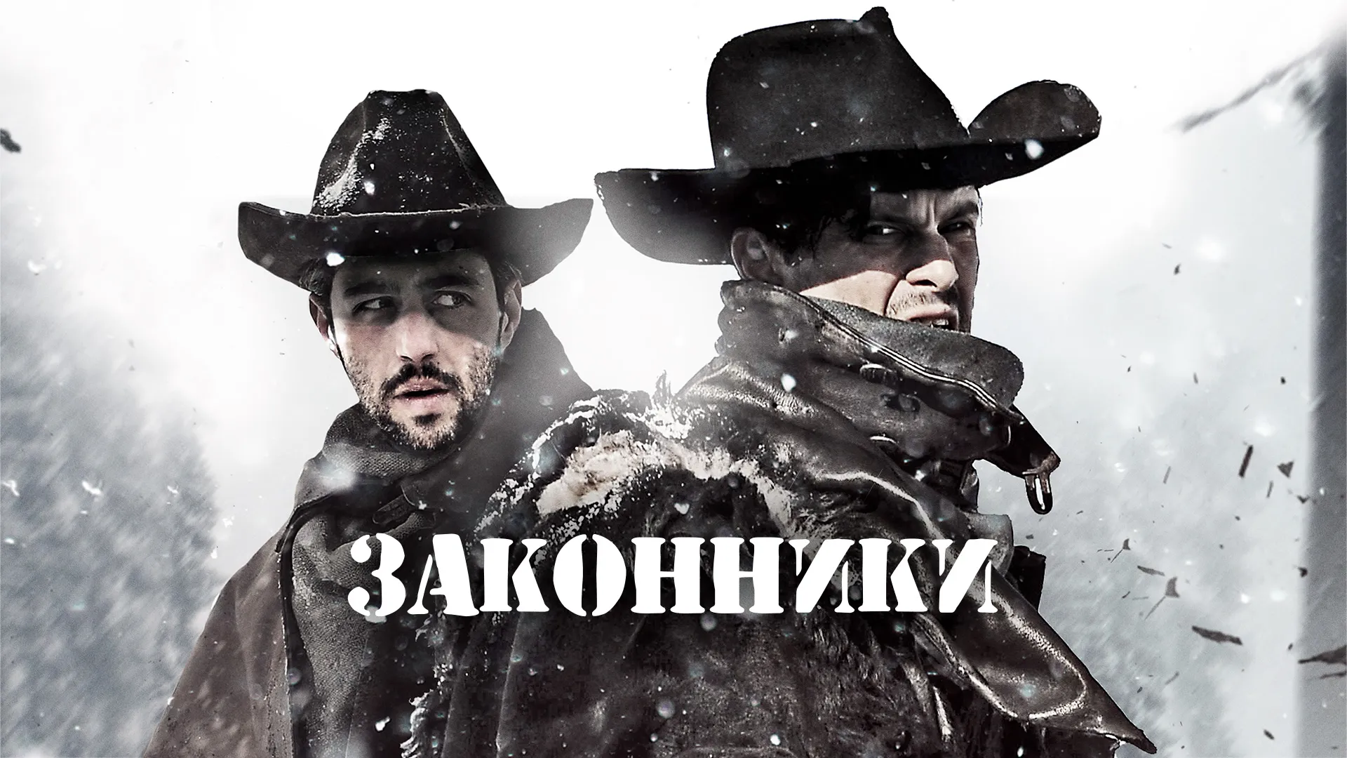 Законники