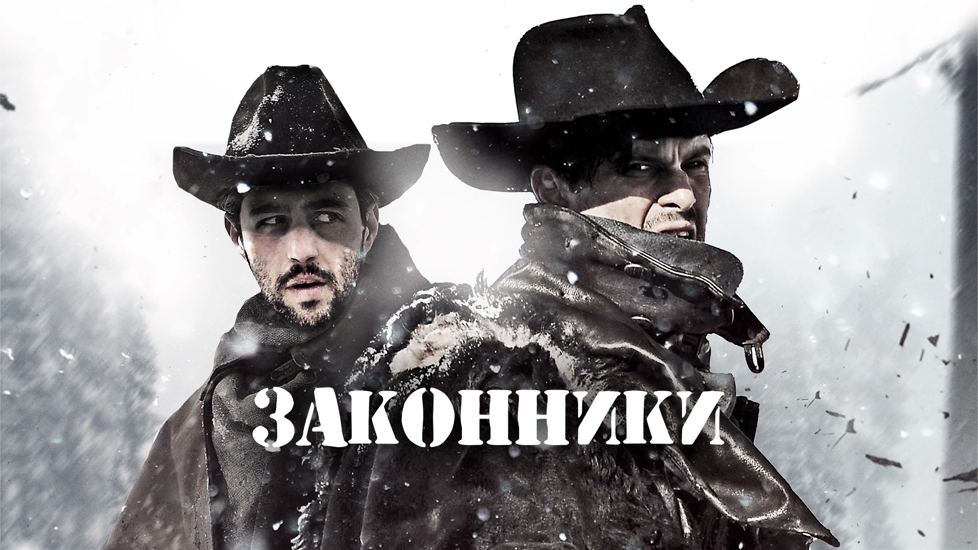 Законники