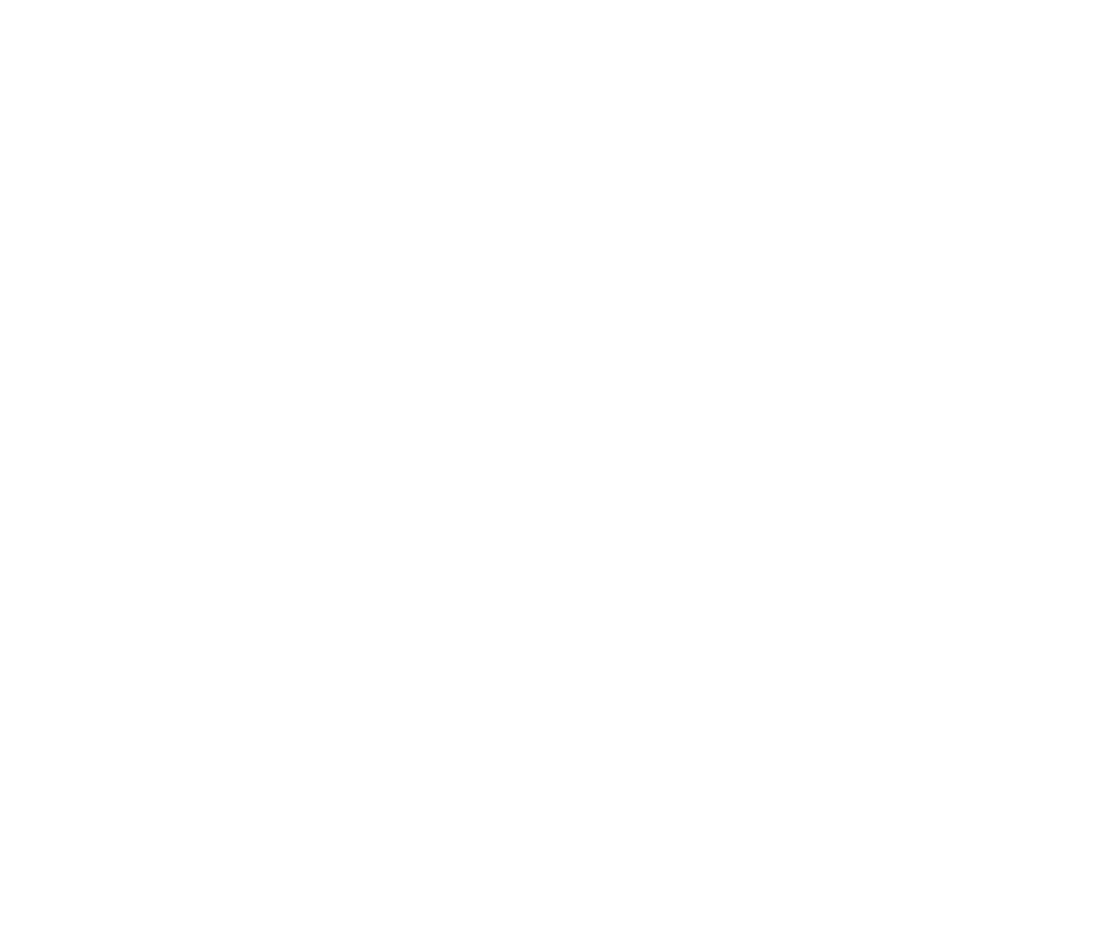 Пять минут тишины