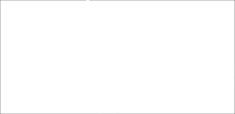 Лошадь Пржевальского