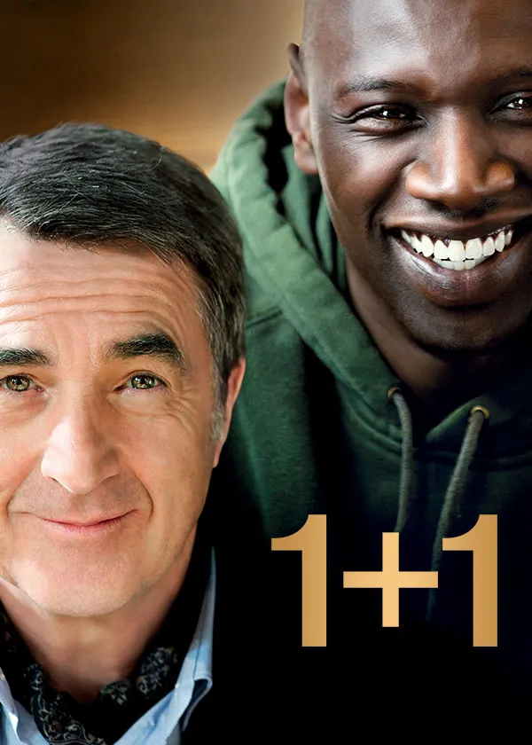 1+1