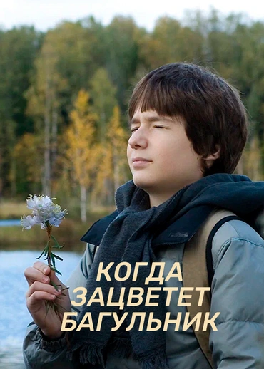 Когда зацветет багульник