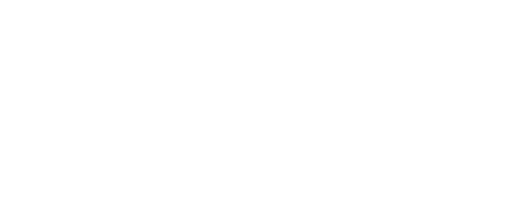 Двойная жизнь