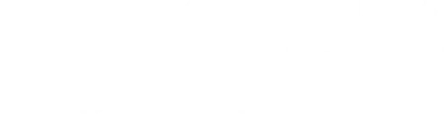 Путешественница во времени