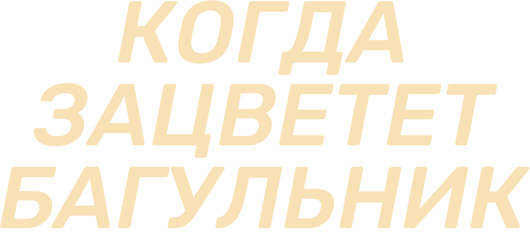 Когда зацветет багульник