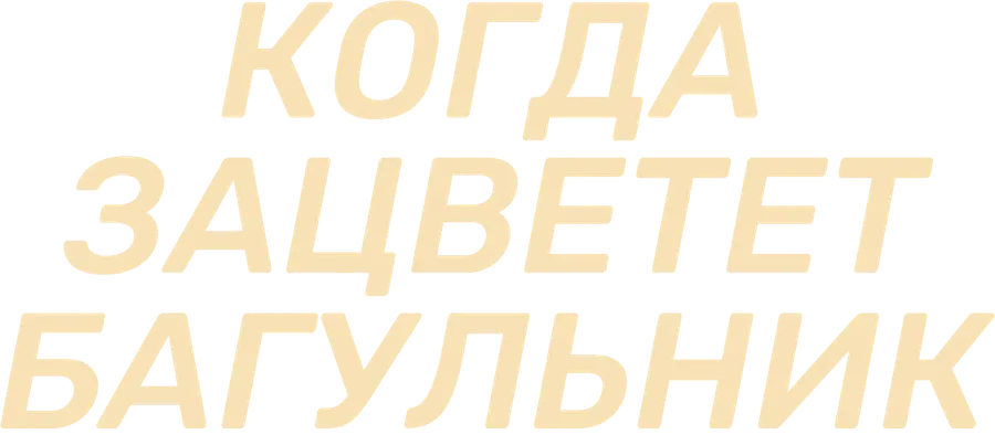 Когда зацветет багульник