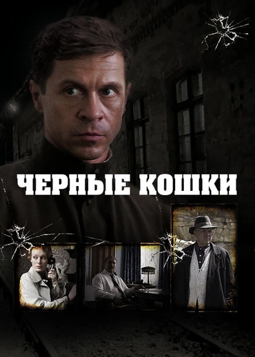 Черные кошки