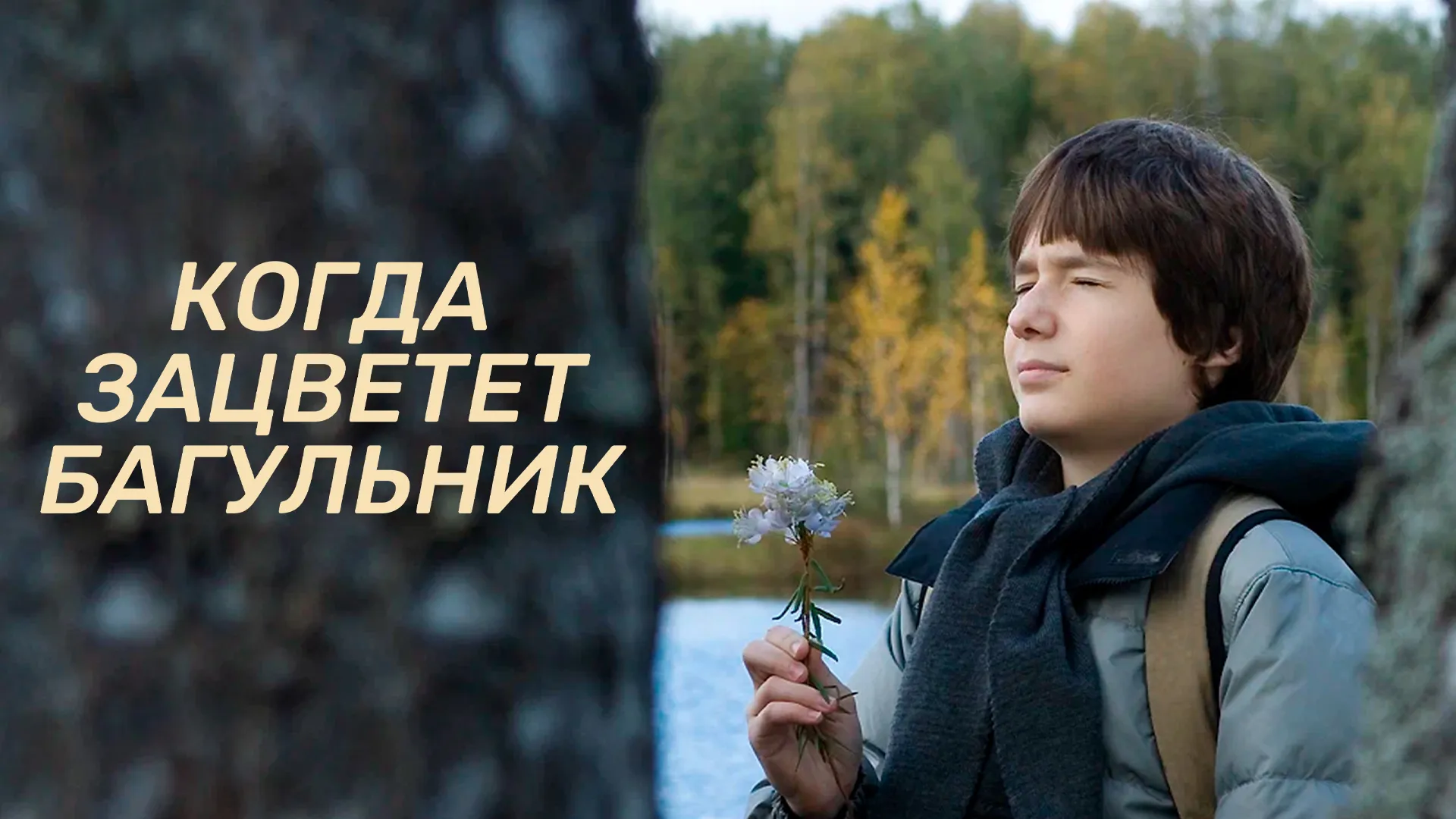 Когда зацветет багульник