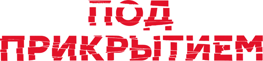Под прикрытием (2020)
